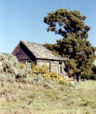 Old Pioneer House